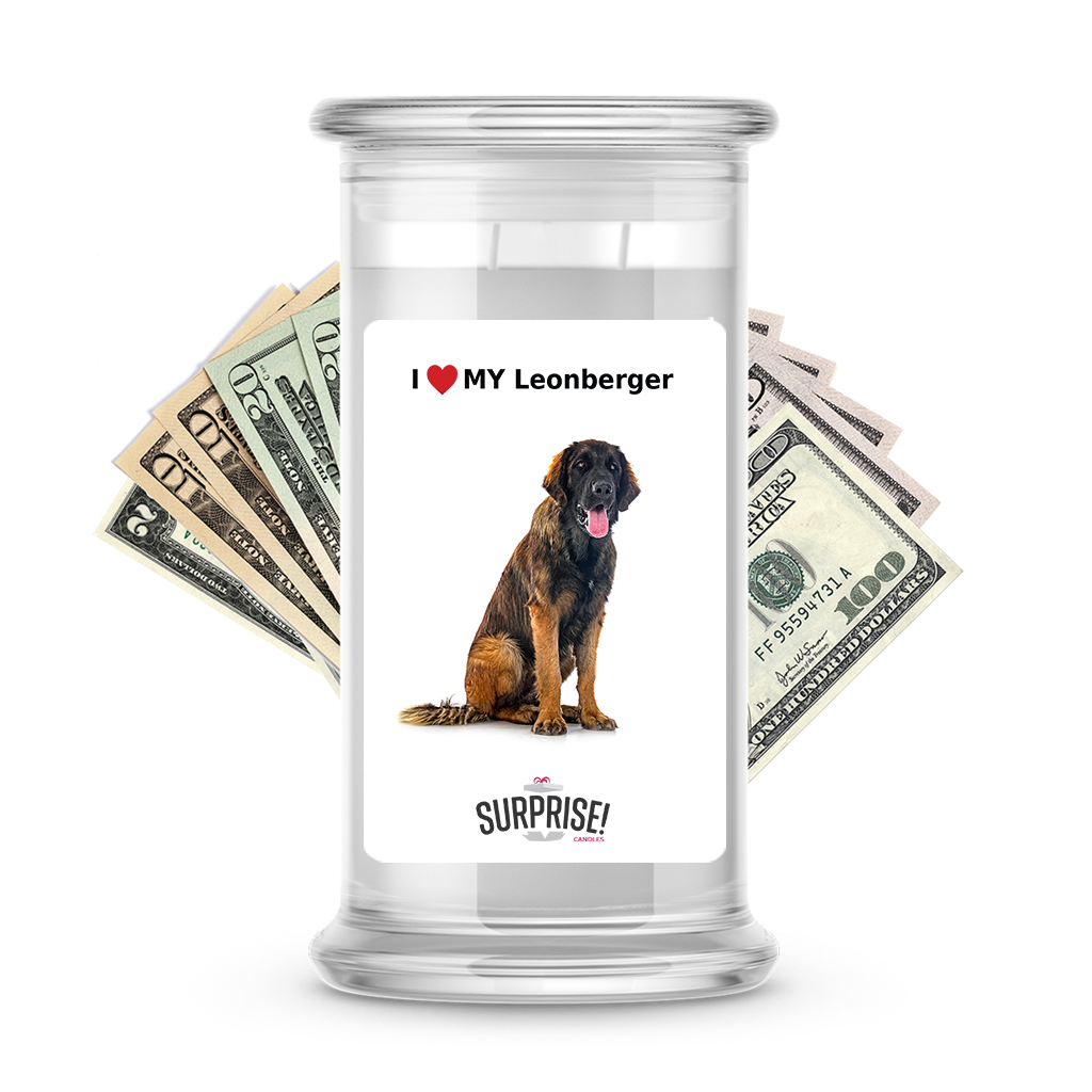 I ������ My Leonberger | Dog Surprise Cash Candles