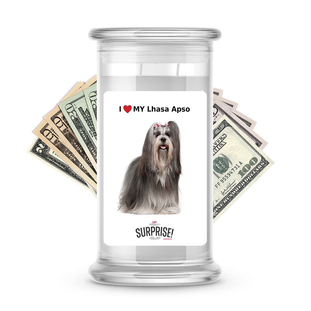 I ������ My Lhasa apso | Dog Surprise Cash Candles