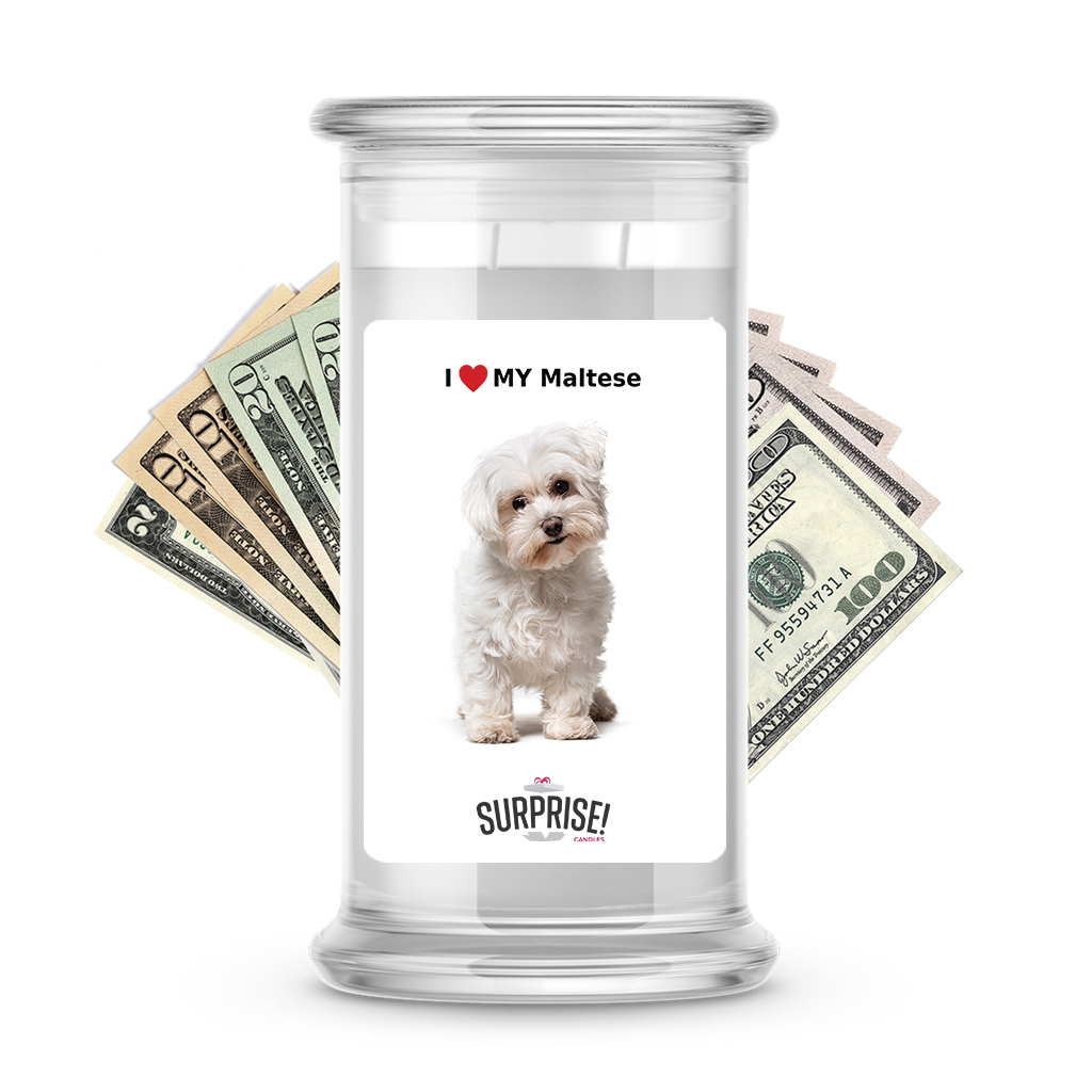 I ������ My Maltese | Dog Surprise Cash Candles