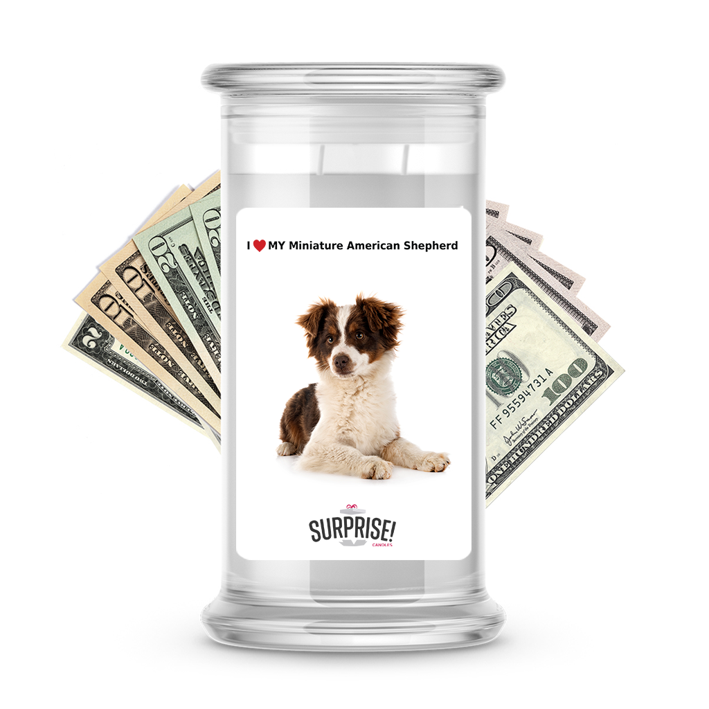 I ������ My Miniature American shepherd | Dog Surprise Cash Candles