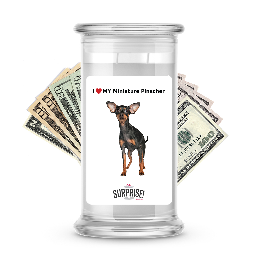 I ������ My Miniature pinscher | Dog Surprise Cash Candles