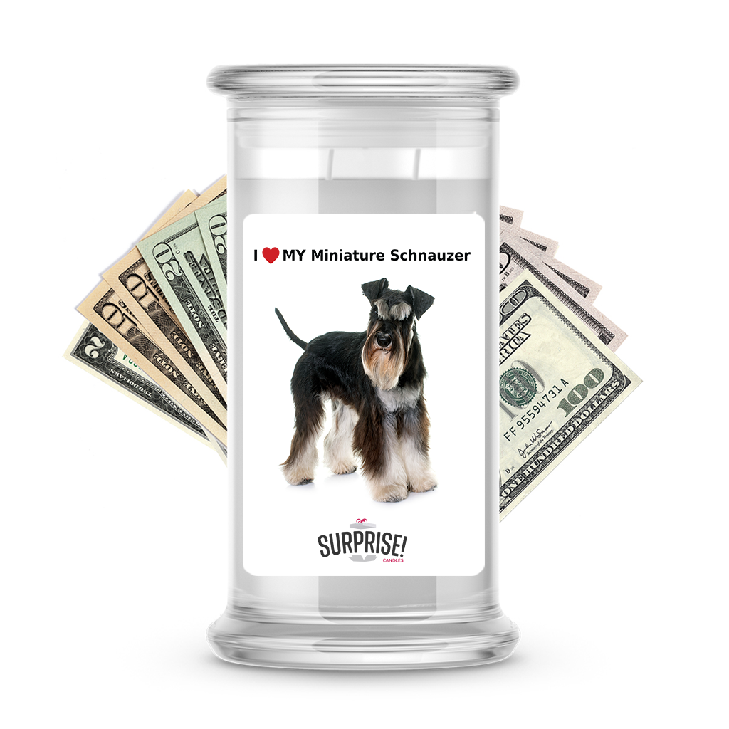 I ������ My Miniature schnauzer | Dog Surprise Cash Candles