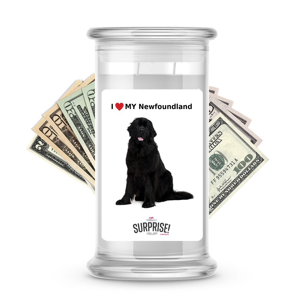 I ������ My Newfoundland | Dog Surprise Cash Candles