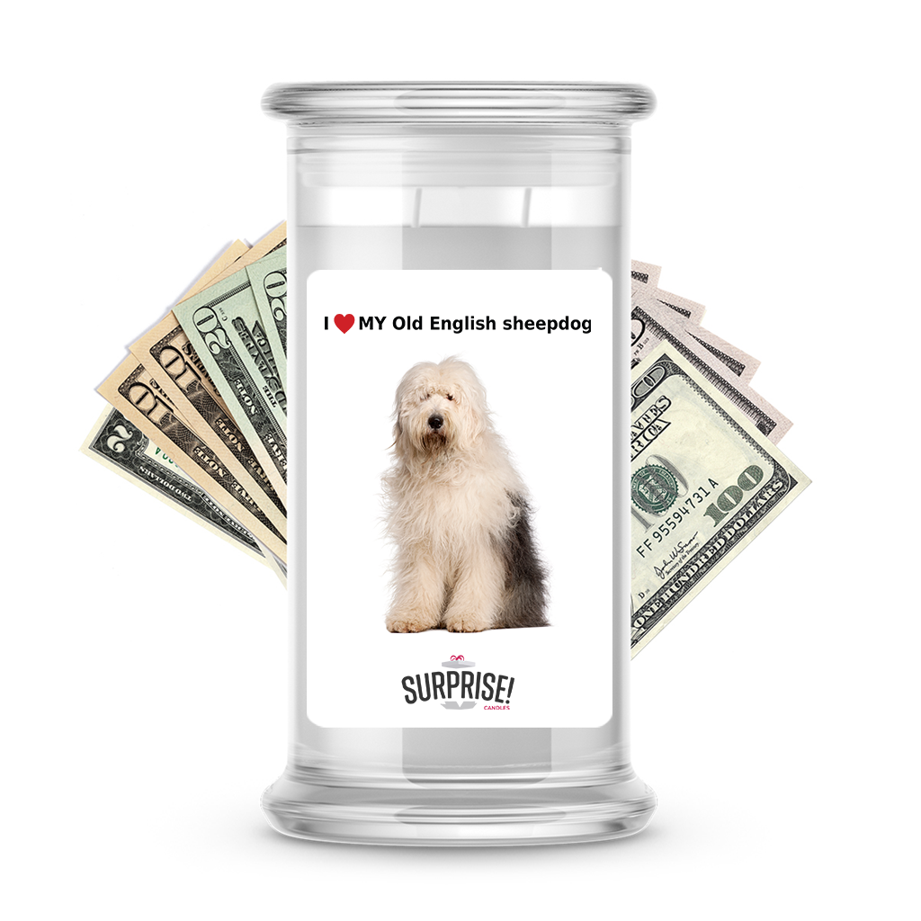 I ������ My Old English sheepdog | Dog Surprise Cash Candles
