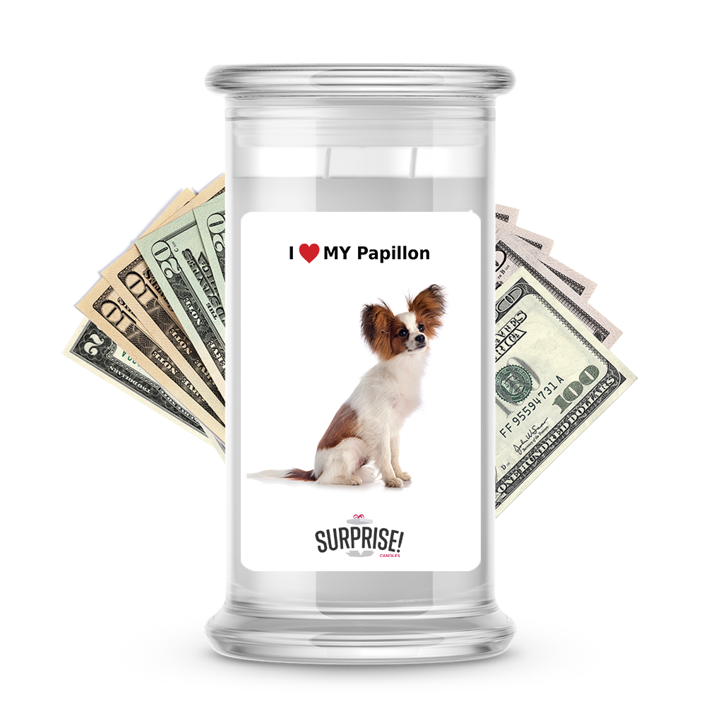 I ������ My Papillon | Dog Surprise Cash Candles
