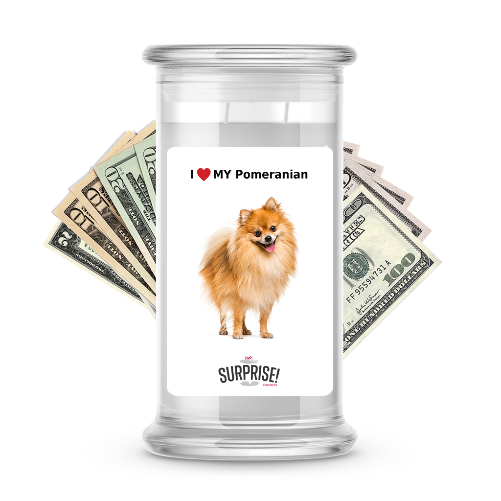 I ������ My Pomeranian | Dog Surprise Cash Candles