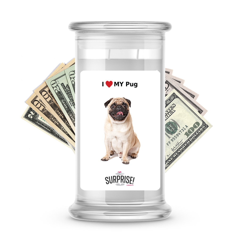 I ������ My Pug | Dog Surprise Cash Candles