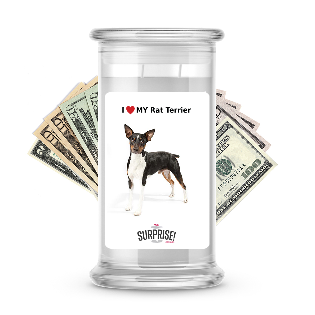 I ������ My Rat terrier | Dog Surprise Cash Candles