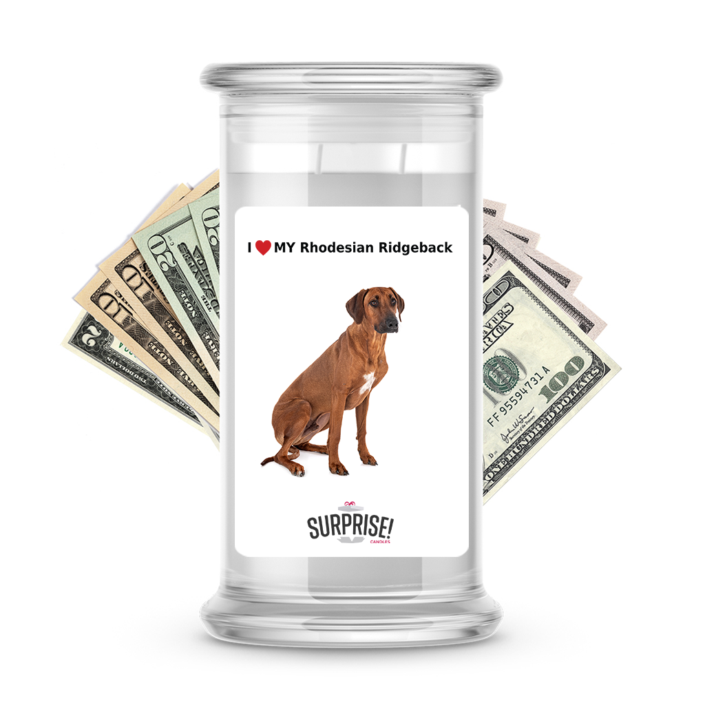 I ������ My Rhodesian ridgeback | Dog Surprise Cash Candles