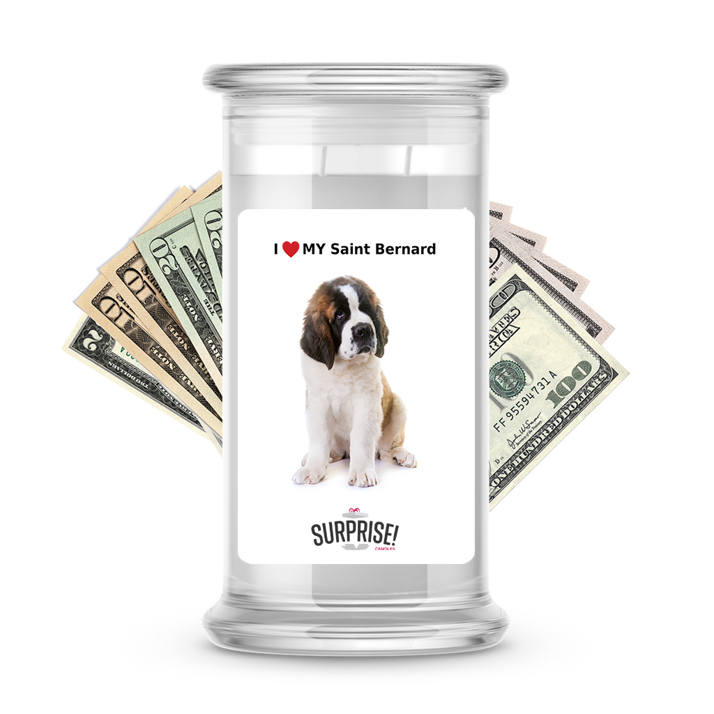 I ������ My Saint Bernard | Dog Surprise Cash Candles