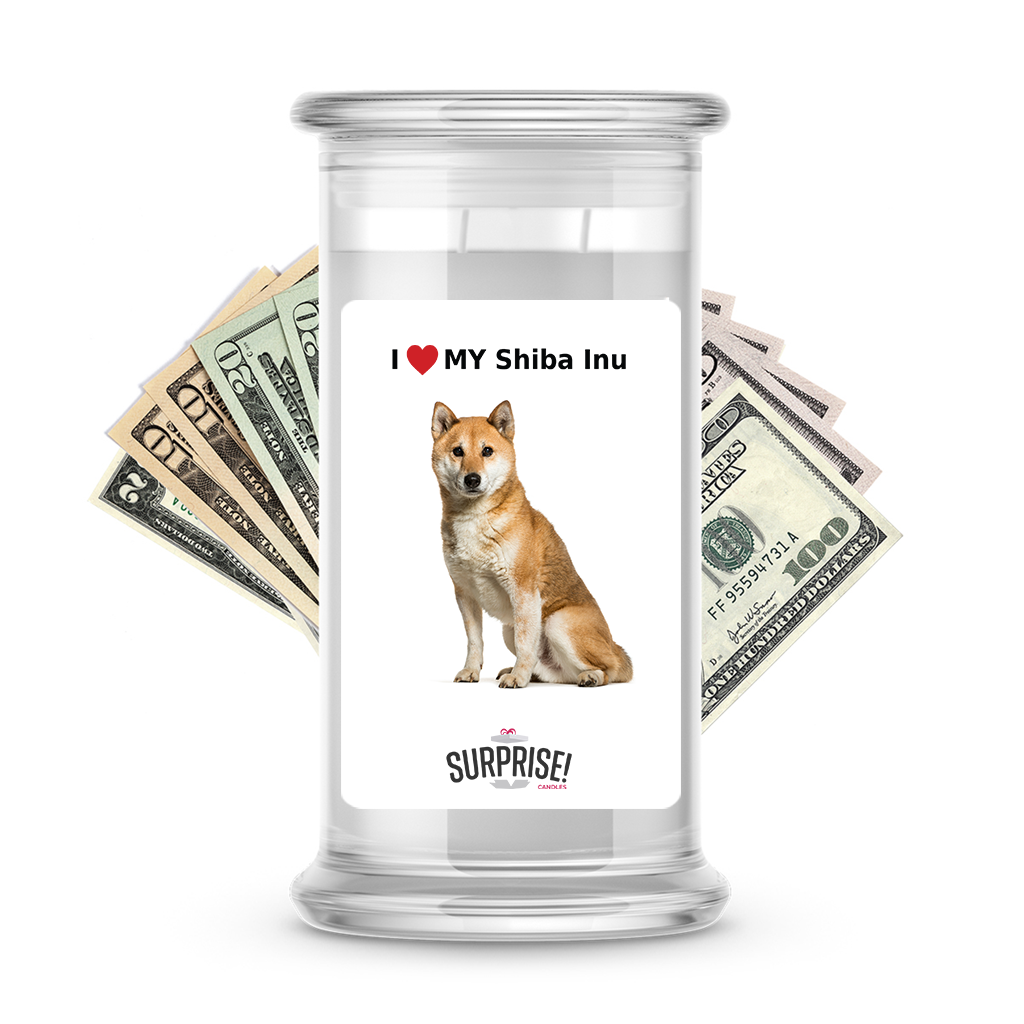 I ������ My Shiba Inu | Dog Surprise Cash Candles