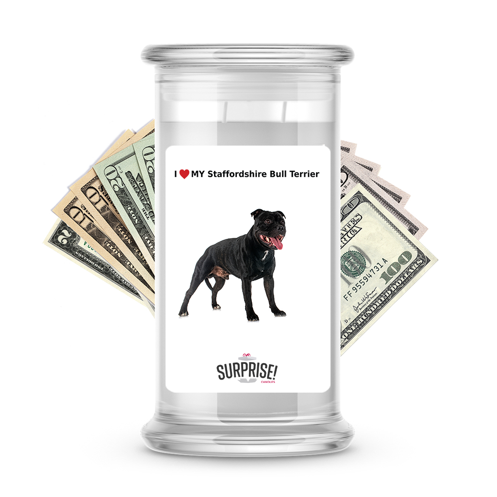 I ������ My Staffordshire bull terrier | Dog Surprise Cash Candles