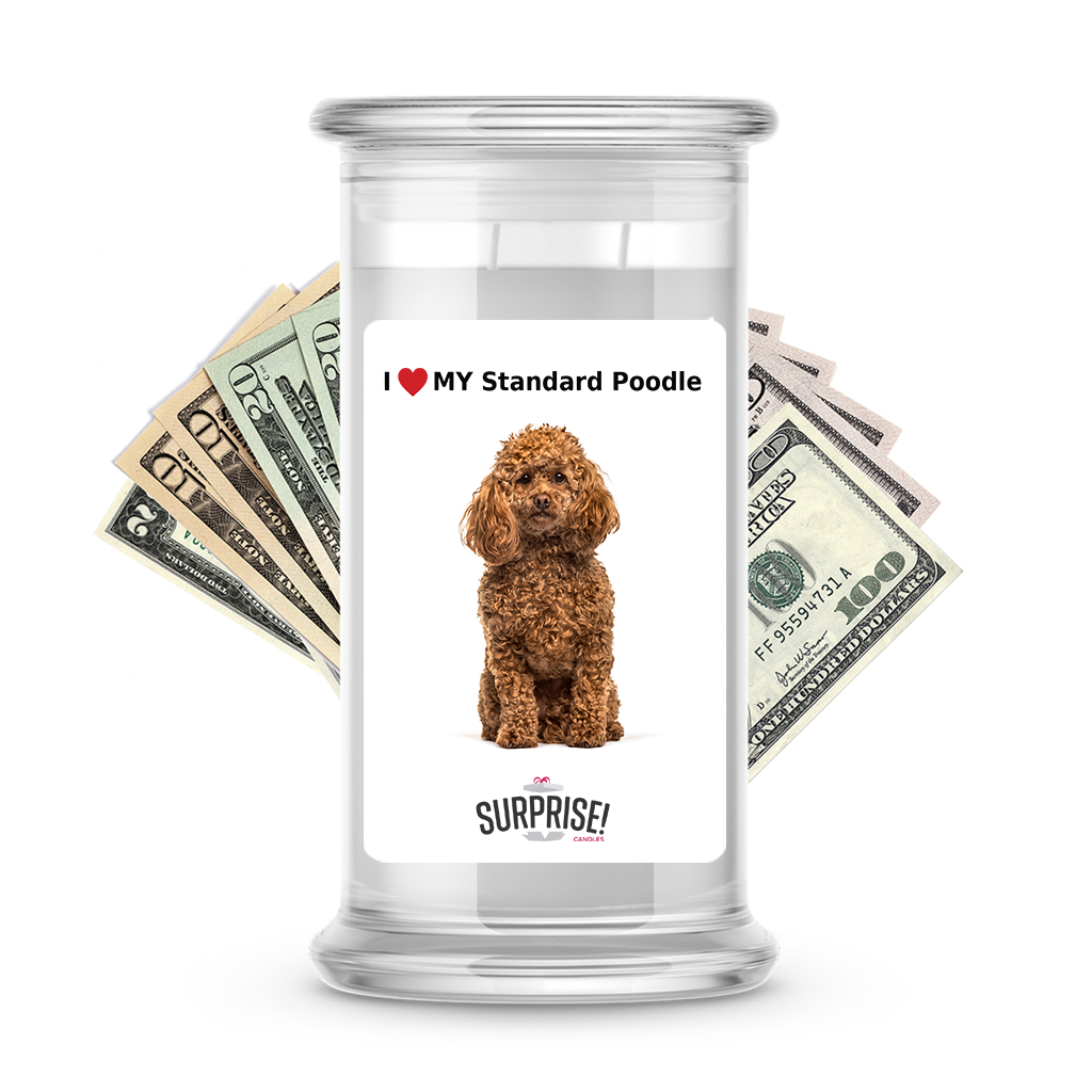 I ������ My Standard poodle | Dog Surprise Cash Candles