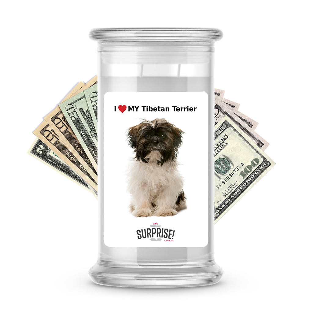 I ������ My Tibetan terrier | Dog Surprise Cash Candles
