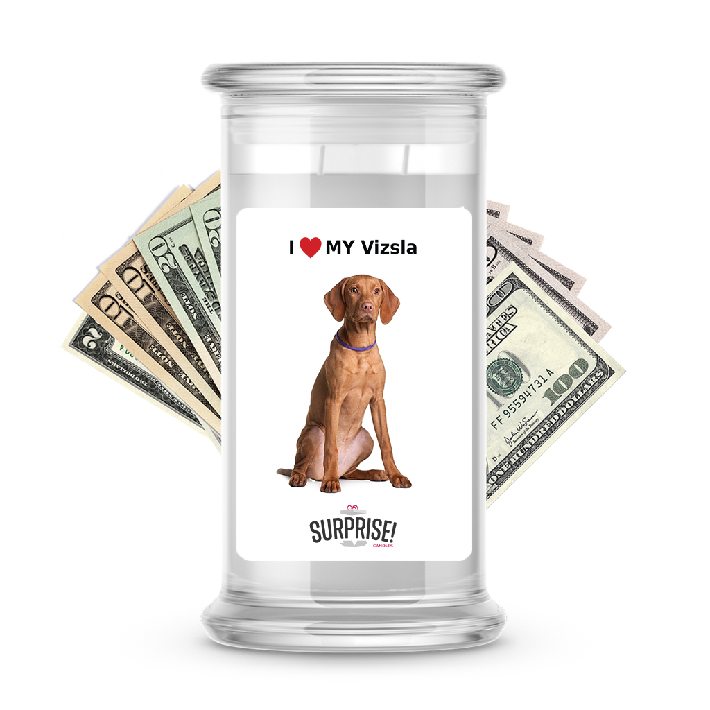 I ������ My Vizsla | Dog Surprise Cash Candles