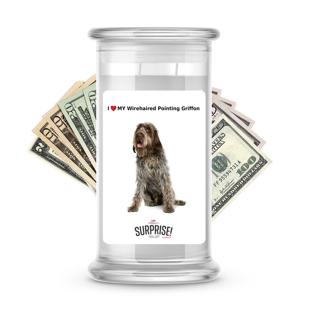 I ������ My Wirehaired pointing griffon | Dog Surprise Cash Candles