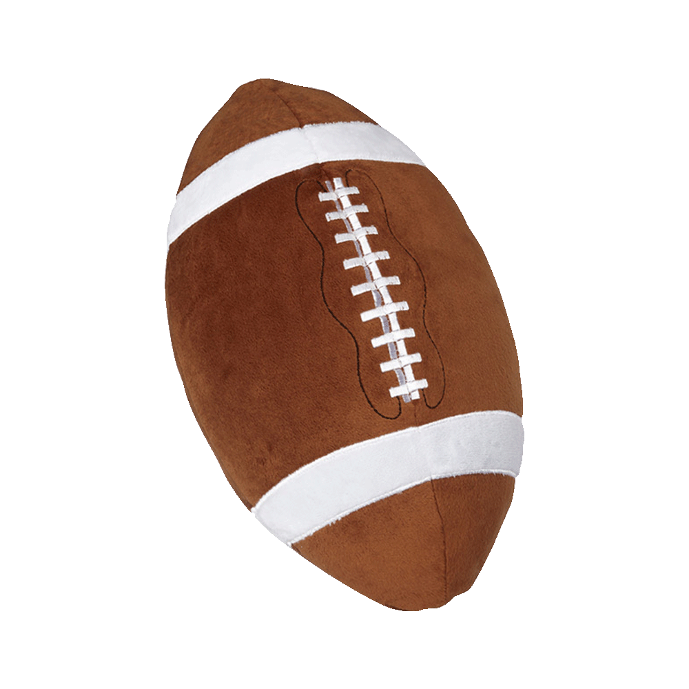 Football Jewelry Pet Demo